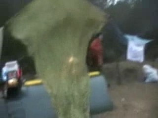 Teuf déganachés - AJT du 23.02.08