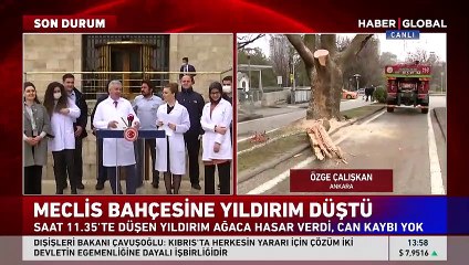 TBMM bahçesine yıldırım düştü