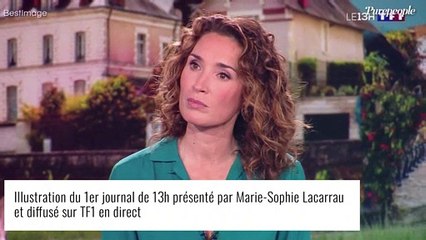 Marie-Sophie Lacarrau, star de TF1 : ses deux fils adolescents "s'en fichent"