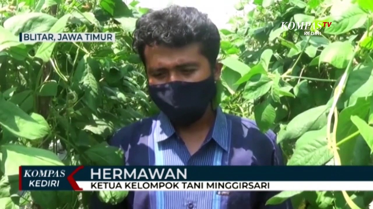 Pertanian Organik, Solusi Mahalnya Harga Pupuk