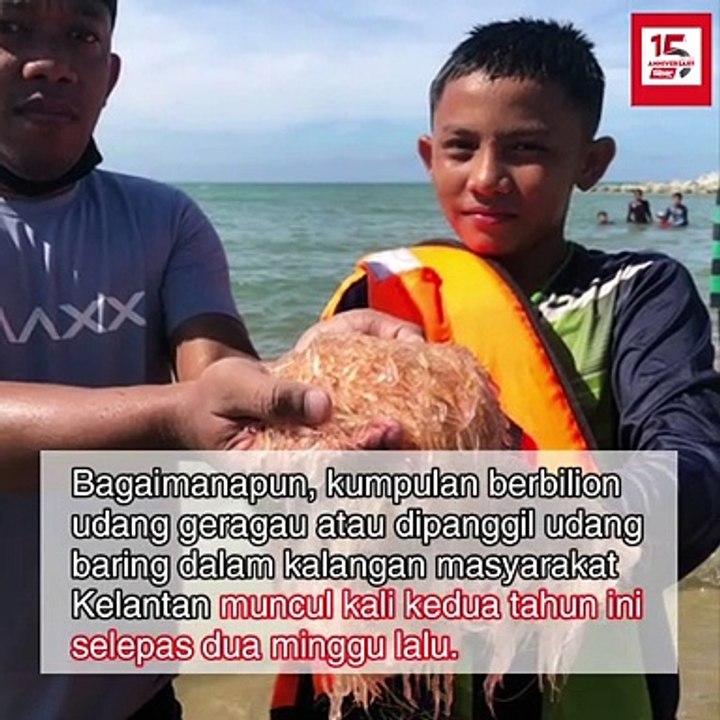 Udang baring muncul di PCB