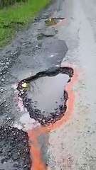 Ducks in potholes at Firsby