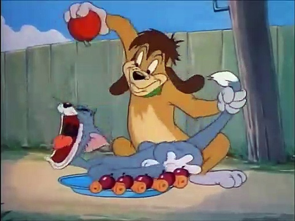 Tom and Jerry fight for mouse - The Truce Hurts