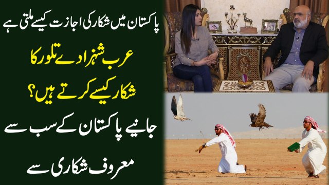 Pakiatan mei shikar ki ijazat kese milti hai, Arab shahzaday Tilour ka shikar kese kartay hain? Janiye Pakistan k sab se maroof shikari se