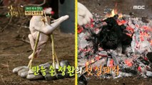 [HOT] What's the result of tin chicken?, 안싸우면 다행이야 210322