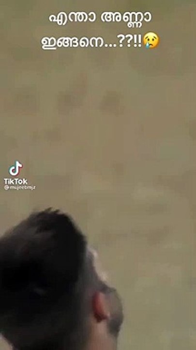 cricket status
