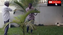 DANS LA VIE D'UNE FILLE ABANDONNÉE , souffrance et espoir