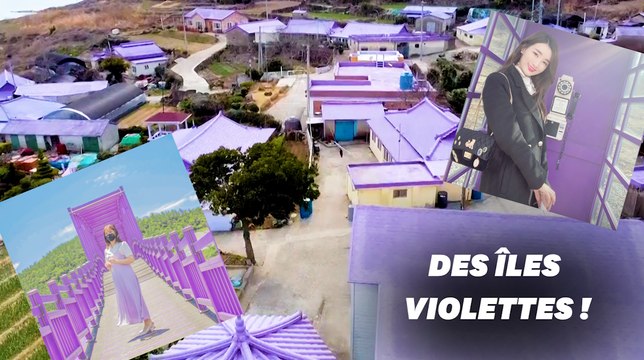 Ces îles violettes en Corée du Sud sont le paradis des instagrameurs