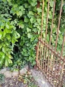 L'amour du club cela se cultive