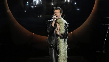 Harry Styles Wore a Mile-Long Muppet Scarf at the Grammys