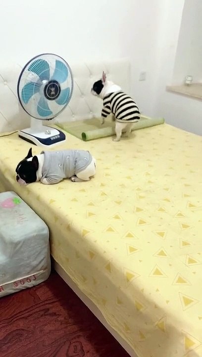 Let's Sleep 