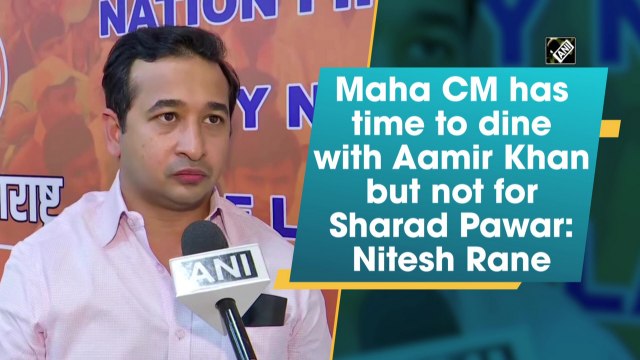 Maharashtra CM has time to dine with Aamir Khan but not for Sharad Pawar: Nitesh Rane