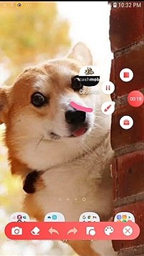 New Earning Apps!! CashMob