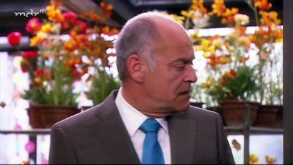 Rote Rosen Folge 298