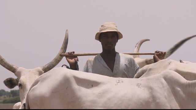 Nigeria sees solution to conflict between farmers