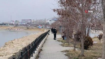 Edremit’te ağaçları kesip Van Gölü’ne attılar