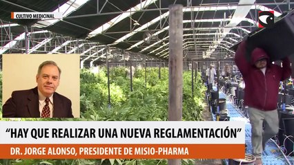 Cannabis Medicinal: “Hay que realizar una nueva reglamentación”