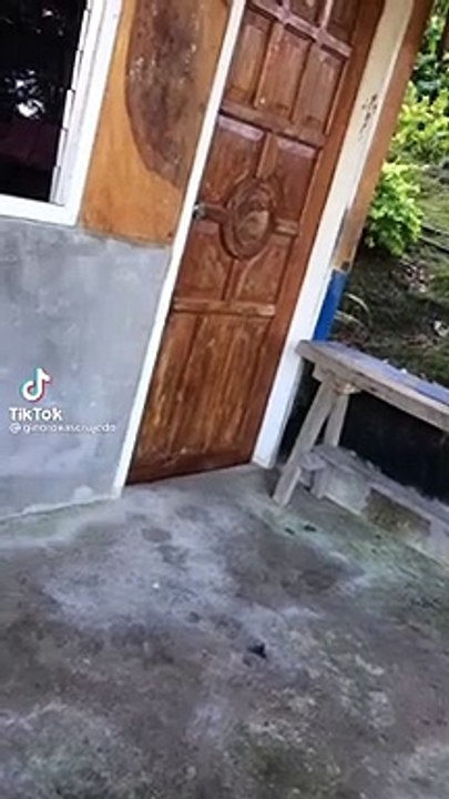 thai concept