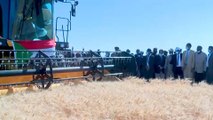 السودان.. الحكومة تقرر التوسع في زراعة القمح لتحقيق الاكتفاء الذاتي