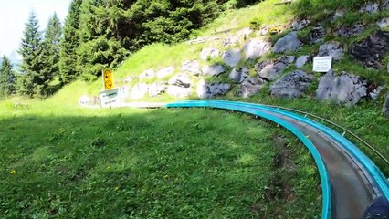'Bobsleigh' - wait till it goes DOWNhill