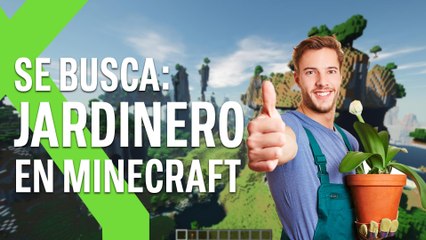JARDINERO EN MINECRAFT 60 €: hora: EL TRABAJO DE TUS SUEÑOS