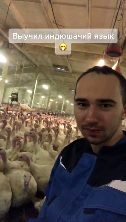 Man Converses with Turkey Congregation