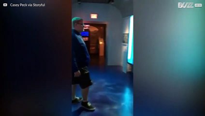 Homem leva susto com ‘tubarão’ em museu