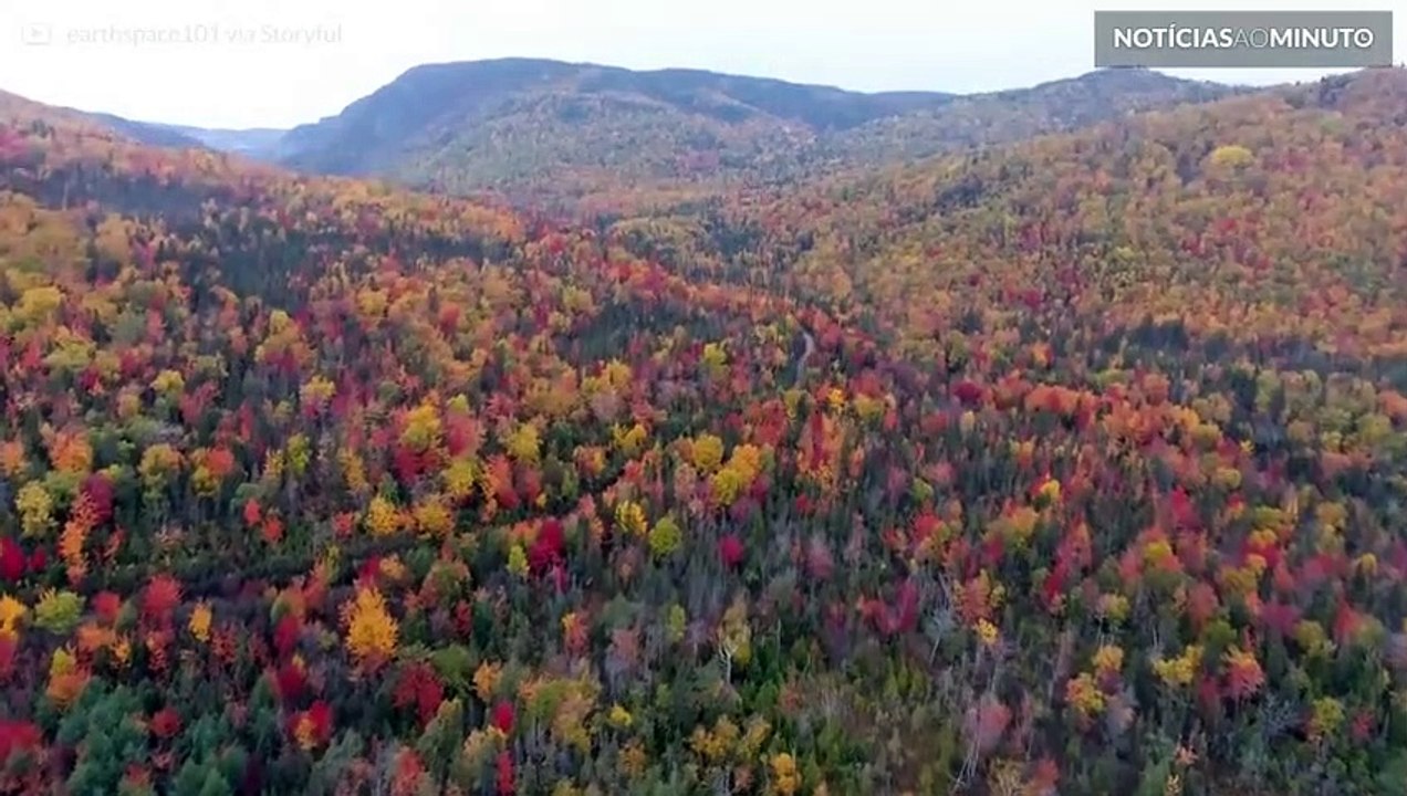 As cores vibrantes da folhagem de outono no Canadá