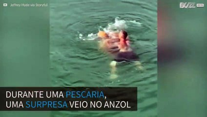 Tartaruga gigante é resgatada após ser fisgada por anzol