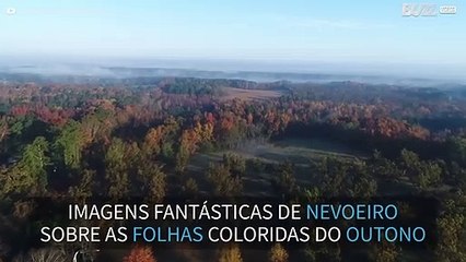 Drone mostra cores do outono em nevoeiro na Carolina do Sul