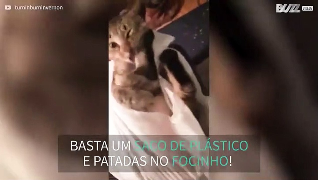 Impossível ganhar nesta situação!