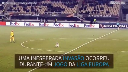 Cão invade jogo da Liga Europa de futebol