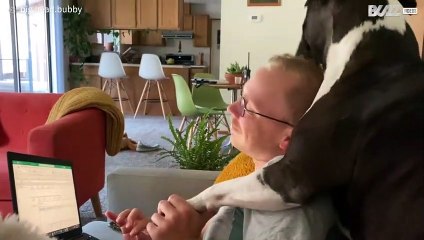 Pitbull resgatado não esconde seu amor pelo dono