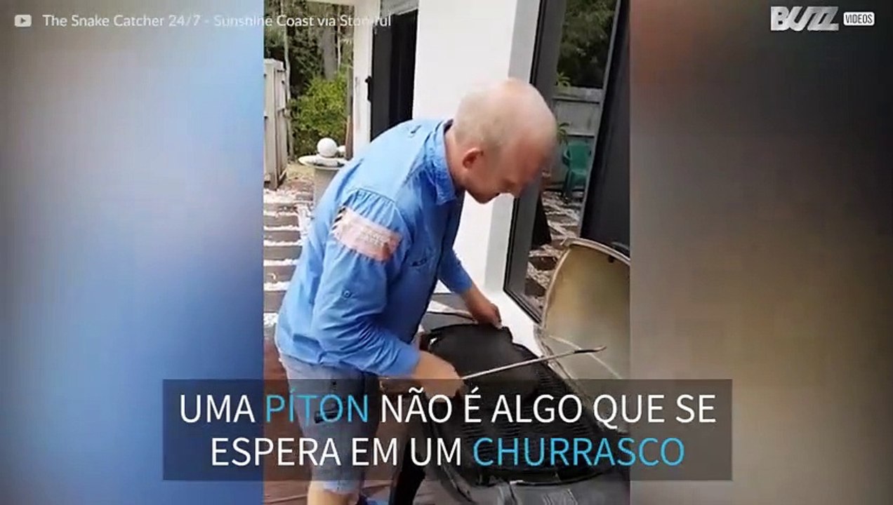 Família encontra cobra píton dentro de churrasqueira