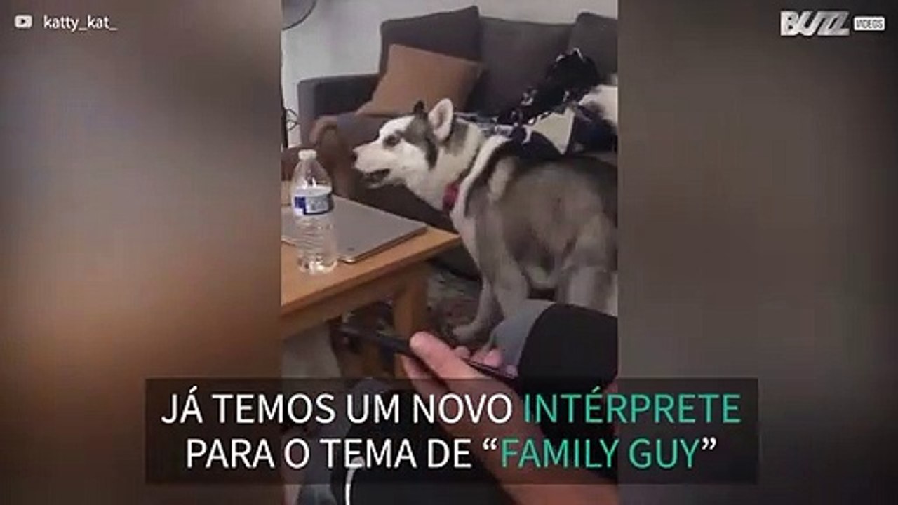 Husky adora cantar o tema de Family Guy