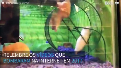 Reveja os vídeos que mais bombaram em 2017!