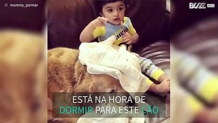 Alerta fofura: menino aconchega cão ao dormir