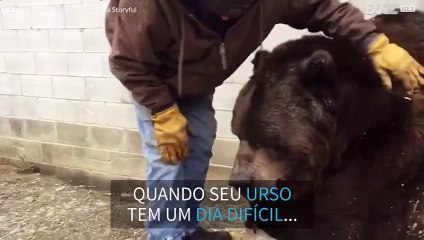 Tratador faz carinho em urso de 635kg