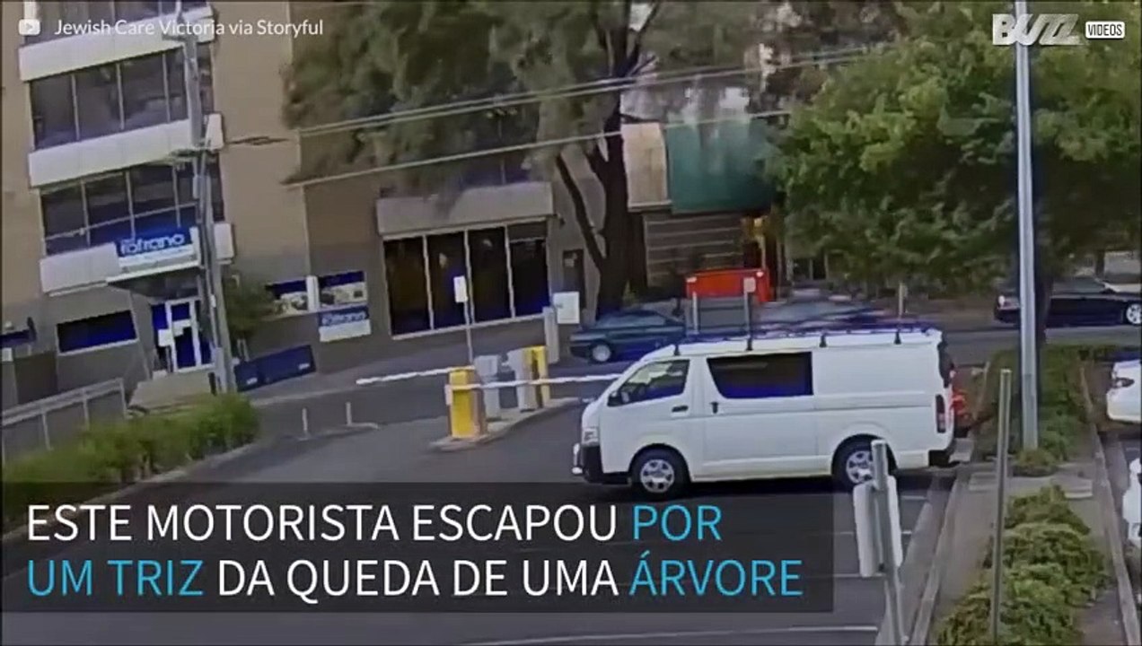 Motorista escapa por um triz de queda de árvore na Austrália