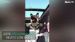 Cão adora cantar enquanto passeia de carro!