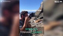 Papagaio modelo faz sessão fotográfica em praia nos EUA