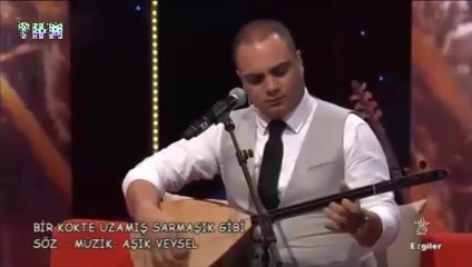 Bir Kökte Uzamış Sarmaşık Gibi - THM