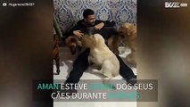 Homem volta a ver os seus cães após 6 meses!