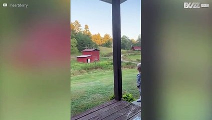 Nunca deixe uma criança sozinha no alpendre