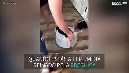 Bebê adora passear pela casa sentado num Roomba