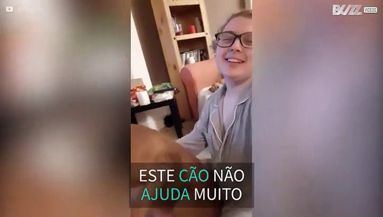 Embrulhar presentes com um cão no colo nunca vai dar certo