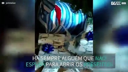 Cadela abre os presentes de Natal às escondidas dos donos