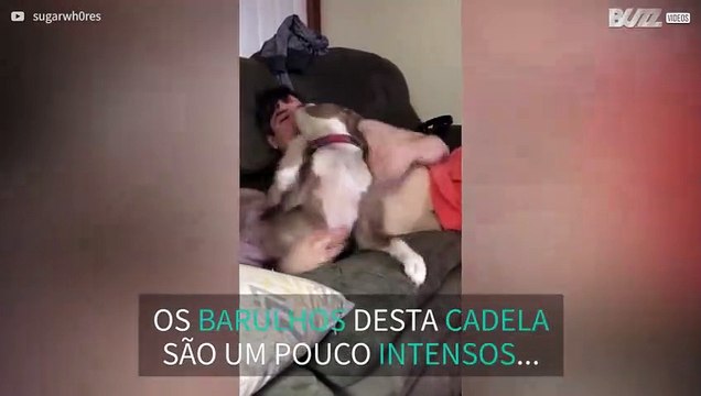 Cadela faz barulhos estranhos enquanto brinca!
