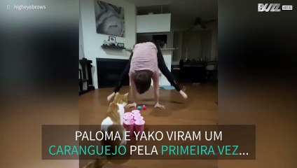 Gato "ajuda" a completar truque criativo!