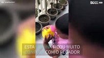 Menina não sabe como funciona um regador